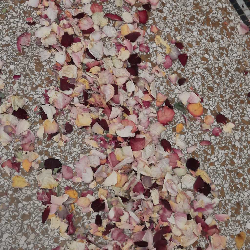 Rozenblaadjes op de grond, onderdeel van het werk Sag mir wo die Blumen sind door Anselm Kiefer